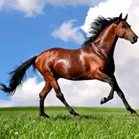 animals_jigsaw_puzzle_horses Games